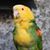 Lorrie Hill's profile image