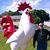 Robert Schneider's profile image