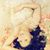 Houston Isabella's profile image