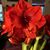 Janine Miller Lund's profile image