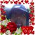 Donna Delauder's profile image