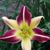 Sylvia Webb's profile image