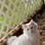 Lori Johnson's profile image