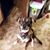 Tammy Clark's profile image