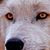 Cindy Walsh's profile image