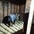 Shannon Kreckel MacLaughlin's profile image