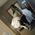 Jocelyn James's profile image