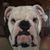 Mike Hagood's profile image