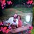 Steve Pizzo's profile image