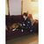 Cassandra Marie's profile image