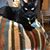 Sandra Dudley's profile image