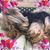 Christine Dudczak Barlow's profile image