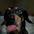 Linda Fontenot Kirbow's profile image
