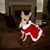 Evester Robison's profile image