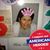 Jennifer Mary Colamaria's profile image