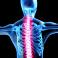 Chiropractor In Tampa FL USA's profile image