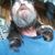 Mike Wells's profile image