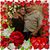 Elvia Nolasco's profile image