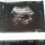 Stephanie Marie Urbas's profile image