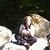 Lynne Kelly's profile image