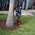 Maria Campbell-Treasure's profile image