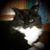 Rebecca McLain Chesterman's profile image