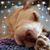 Ingrid Maler's profile image