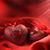 Judy Borawski's profile image