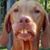 John Arthur's profile image