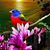 Judy Edwards's profile image