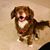 Deborah Nippress's profile image