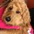 Bobbie Herhuth's profile image