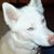 Woofy Reta Peacock Brooks's profile image