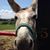 Sally Cady's profile image