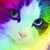 Elliot Sykes's profile image