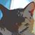 Tom Bernardi's profile image