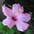 Kathy Mason Kennedy's profile image