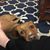 Morgan Renee Paty's profile image