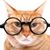 Heidi Hanson's profile image