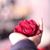 Komal Fatima's profile image