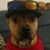 Tibadeaux Orleans's profile image