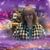 Randi Brount's profile image