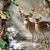 Dyanne Lerew's profile image