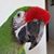 Robert Birdman Kirwan's profile image
