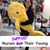 Lauren Lipinski's profile image