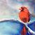 Jennifer Hannaford's profile image