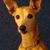 Cindy Heitz Statsmann's profile image