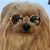 Lorin Grow's profile image