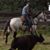 Roby Cicogni's profile image