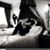 Theresa Cerino Whitmarsh's profile image